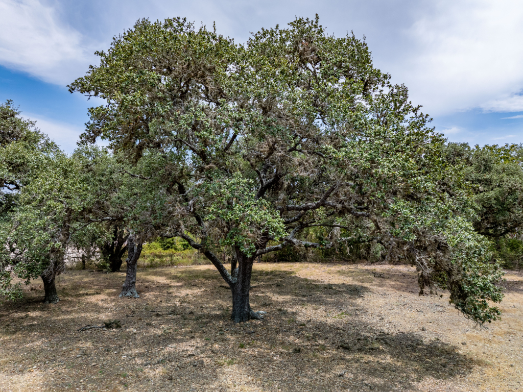 DJI_20260827125624_0114_D