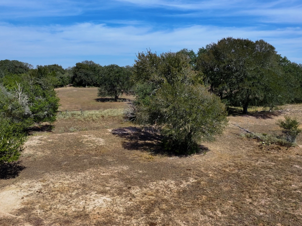 DJI_20260925151206_0082_D.00_00_55_56.Still009 (1)