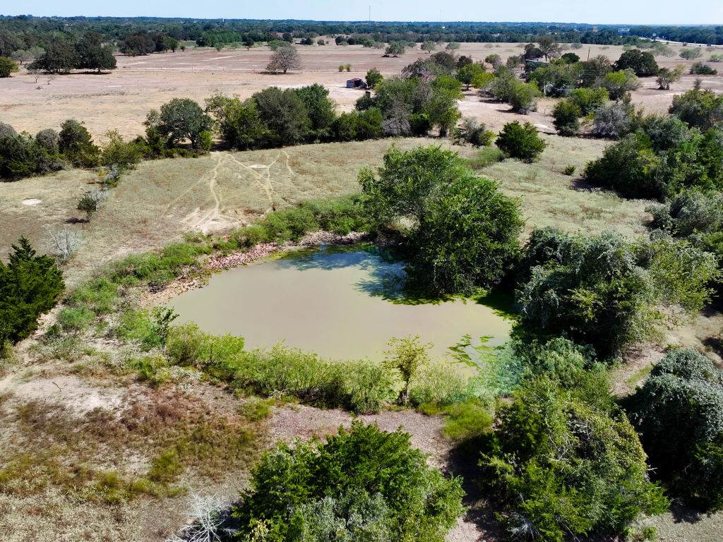 DJI_20260925151206_0082_D.00_01_00_52.Still010-Edit (1)